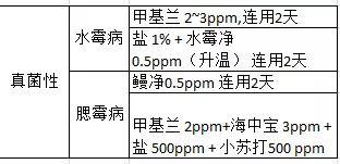 状元红资料