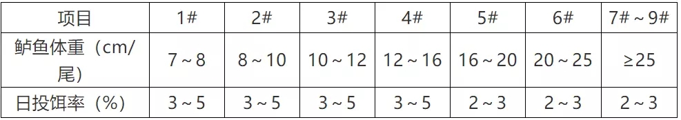 状元红资料